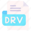 drv, file, type, format, extension, document 