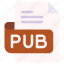 pubm, file, type, format, extension, document 
