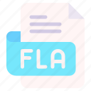 fla, file, type, format, extension, document