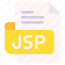 jsp, file, type, format, extension, document