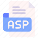 asp, file, type, format, extension, document