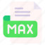 max, file, type, format, extension, document 