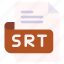 srt, file, type, format, extension, document 