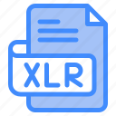 xlr, file, type, format, extension, document
