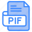 pif, file, type, format, extension, document 