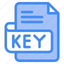 key, file, type, format, extension, document