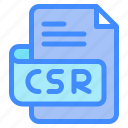 csr, file, type, format, extension, document