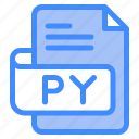 py, file, type, format, extension, document