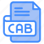 cab, file, type, format, extension, document 