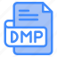 dmp, file, type, format, extension, document 