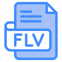 flv, file, type, format, extension, document