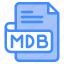 mdb, file, type, format, extension, document 