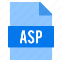 asp, document, extension, file, types