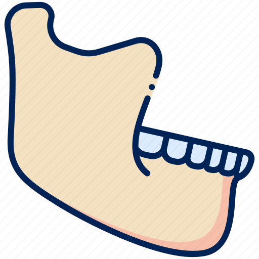 Jaw, orthodontic, teeth, cheek, dental care icon - Download on Iconfinder