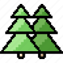 trees, fir, spruce, pine, forest, winter