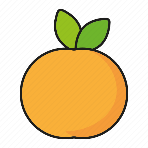 Apricot, food, fresh, fruit, peach icon - Download on Iconfinder