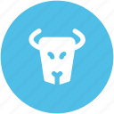 animal, bull, bull head, business, forex trading, trading