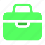briefcase, bag, suitcase, work, business, money, luggage 