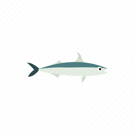 Fish, food, fresh, pacific, saury, seafood, silver icon - Download on Iconfinder
