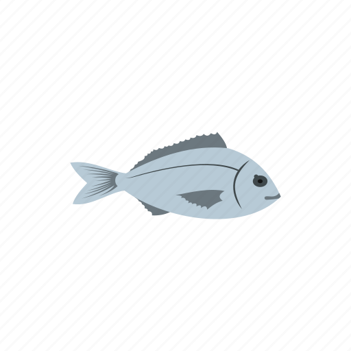Bream, drawing, fish, fishing, food, seafood, water icon - Download on Iconfinder