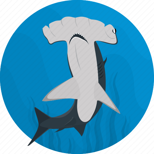 Fish, food, hammerhead, sea, seafood, shark, meal icon - Download on Iconfinder