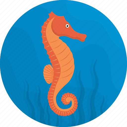 Fish, food, horse, sea, sea horse, seafood, meal icon - Download on Iconfinder