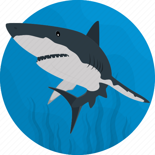 Fish, food, sea, seafood, shark icon - Download on Iconfinder