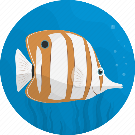Fish, food, sea, seafood, tropical, kitchen, meal icon - Download on Iconfinder