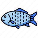 fish, scaly, fisheries, fishscale, animal, fishing, freshwater