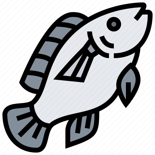 Aquaculture, fish, food, fresh, tilapia icon - Download on Iconfinder