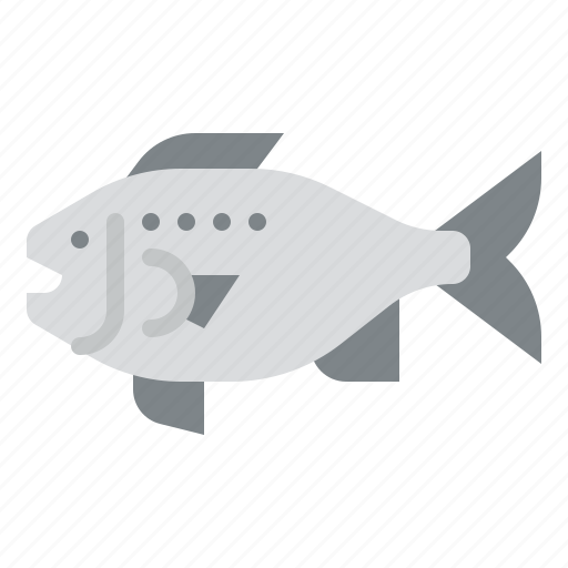 Fish, animal, sea, life icon - Download on Iconfinder