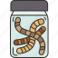worms, bottle, baits, container, fishing 