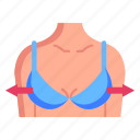 breast, body, breast increase, breast surgery, female body, female chest