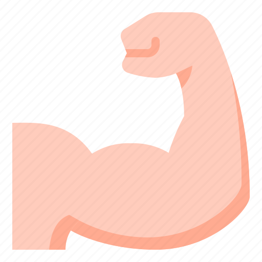 Muscle, arm, bicep, strong, bodybuilding, bodybuilder, gym icon - Download on Iconfinder
