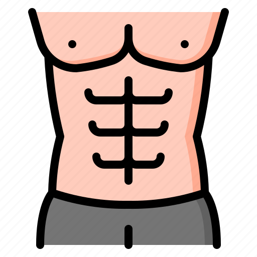 Body, muscle, bodybuilding, bodybuilder, abs, six pack, gym icon - Download on Iconfinder