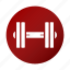 barbell, dumbbells, fitness, gym, muscles 