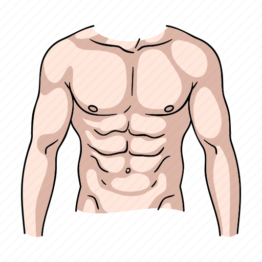Body, fitness, man, muscles, part, sport, torso icon - Download on Iconfinder