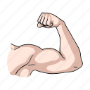 biceps, body, fitness, hand, muscles, part, sport