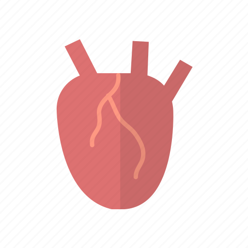 Care, fitness, health, heart, organ, red heart icon - Download on Iconfinder