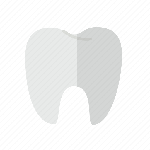 Care, fitness, health, teeth, tooth icon - Download on Iconfinder
