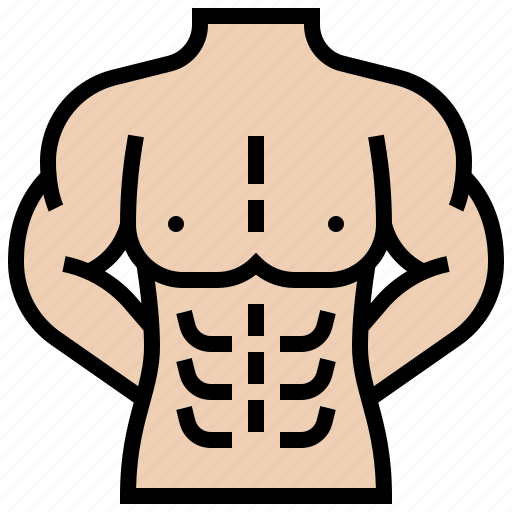 Abs, bodybuilder, lean, muscular, strong icon - Download on Iconfinder