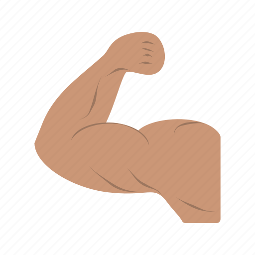 - muscles, fitness, gym, strong, healthy, man, exercise icon - Download on Iconfinder