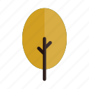 autumn, branches, nature, oval, plant, tree, yellow