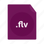 file, flv, name, video 