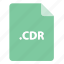 file format, file type, file, cdr, file extension 