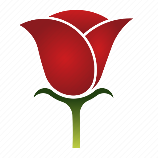 Beauty, bloom, flower, love, rose icon - Download on Iconfinder