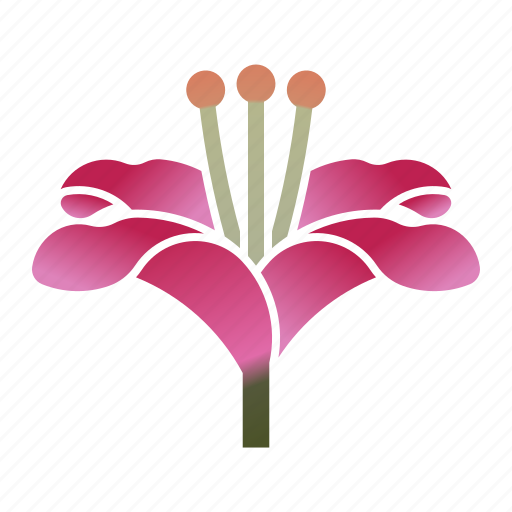 Asiatic lily, bloom, flower, oriental icon - Download on Iconfinder
