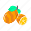 sweet orange, tangerine, citrus sinensis, citrus fruit, organic food 