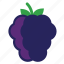 berry, blackberrie, blackberries, eating, food, foods, fruit, fruits, healthy, purple 