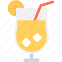 fruit drink, juice, lemonade, orange juice, orange slice